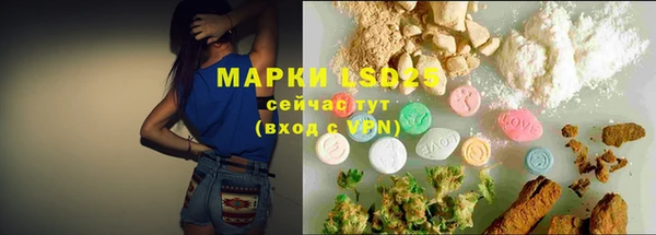 PSILOCYBIN Балабаново