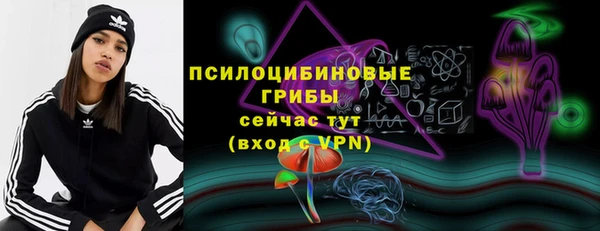 PSILOCYBIN Балабаново