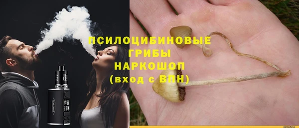 PSILOCYBIN Балабаново
